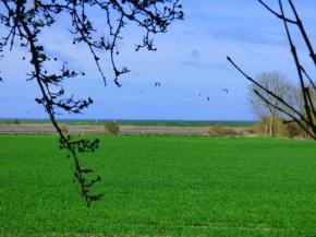 Schwalbennest 2 in Albertsdorf